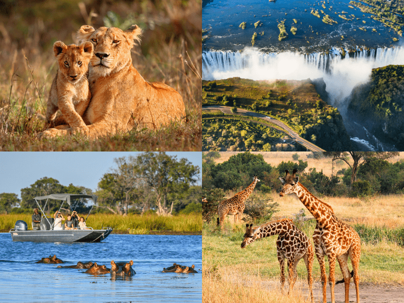 Best Of Southern Africa Package From Australia 