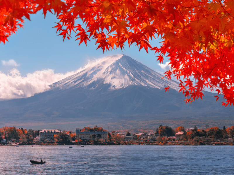 Japan 15 Day Tour with Flights 2025 