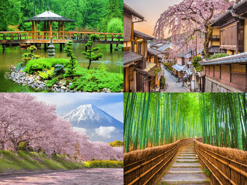 Japan 15 Day Tour with Flights 2025 